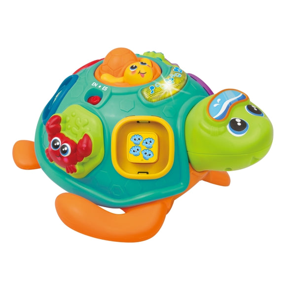 WF- Pull Along Sort 'N Learn Turtle