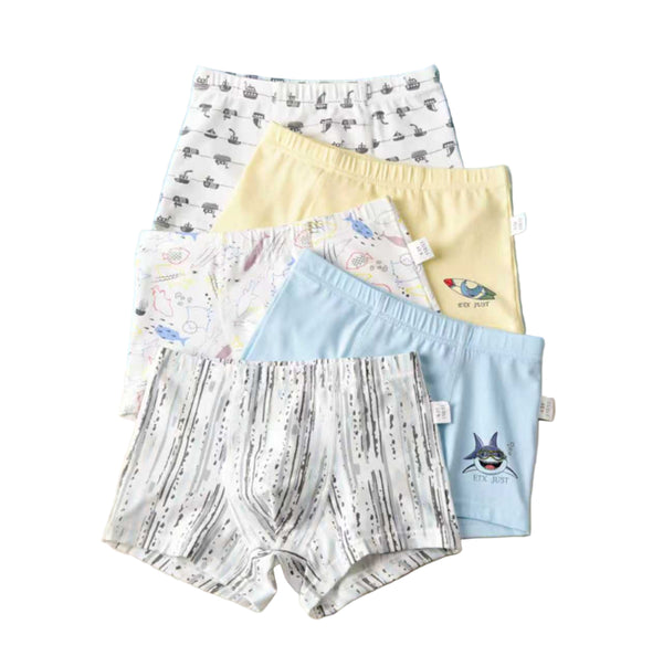 BOYS BOXERS MULTI-COLOURED PACK 5