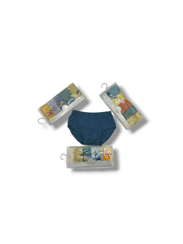 BOY MULTI-COLOURED BRIEFS PACK 5