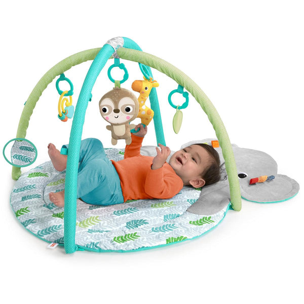 Bright Starts Hug 'N Cuddle Activity Gym