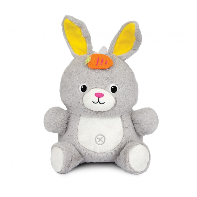 WF PLAY WITH ME DANCE PAL BUNNY - 0279