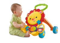 BABY TOYS FISHER PRICE MUSICAL WALKER FISHER PRICE® - Y9854