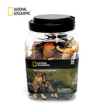 National Geographic 30 pcs Set Wild Animals - NCD02001